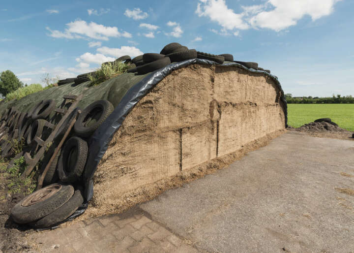 Optimiertes Management Silage Optimiertes Management Silage